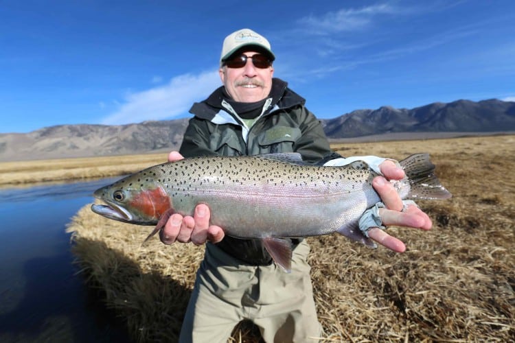 Fly Fishing Trout Basics in the Sierra, Mammoth, Bishop, Bridgeport