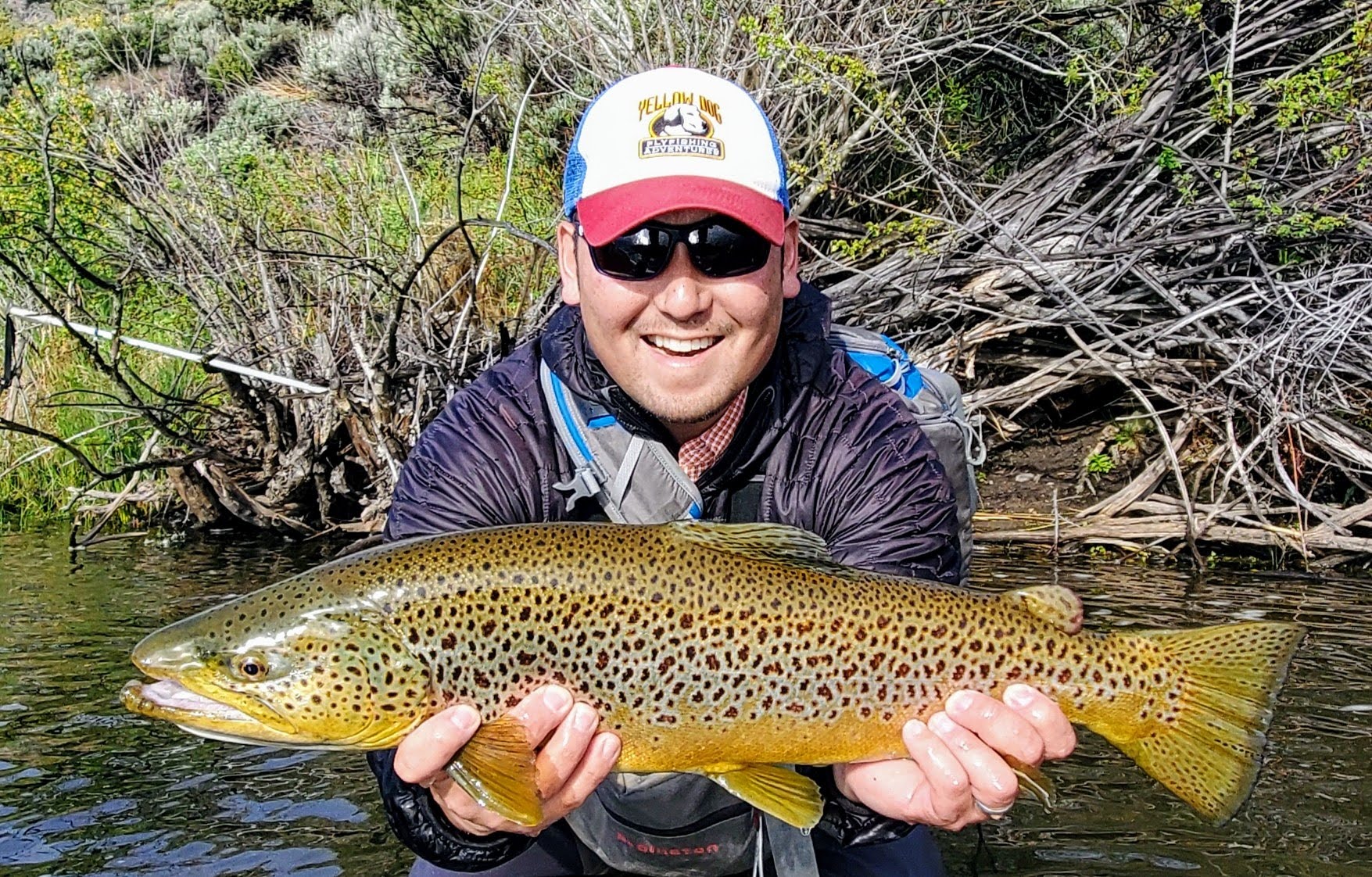 A fly fisherman wading in the East Walker River and holding a trophy brown trout.