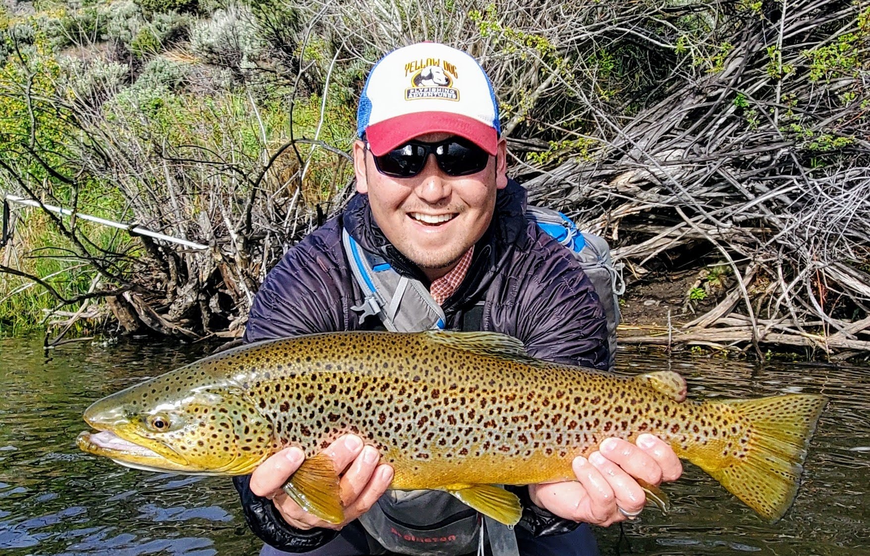 Trout fishing in California 