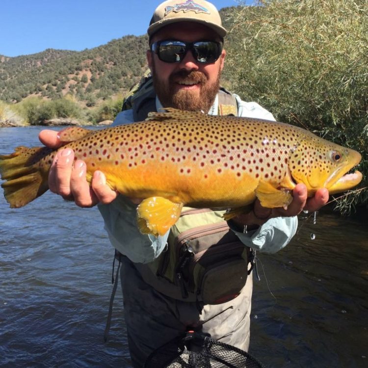  A bearded man standing in a river holding a large brown trout.