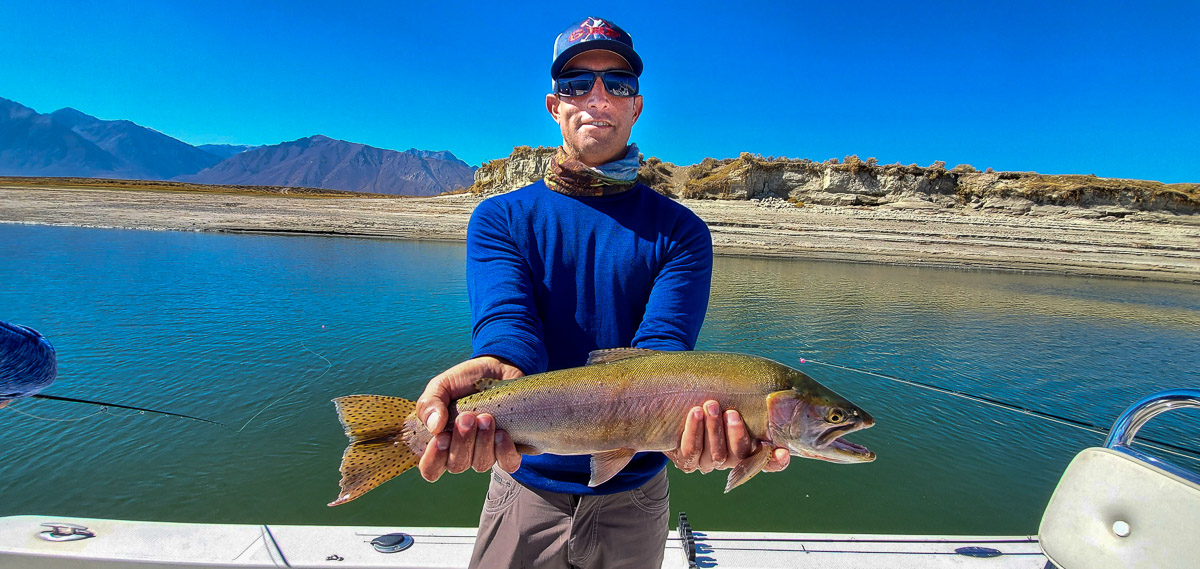 A rainbow trout from Crowley Lake with Sierra Drifters