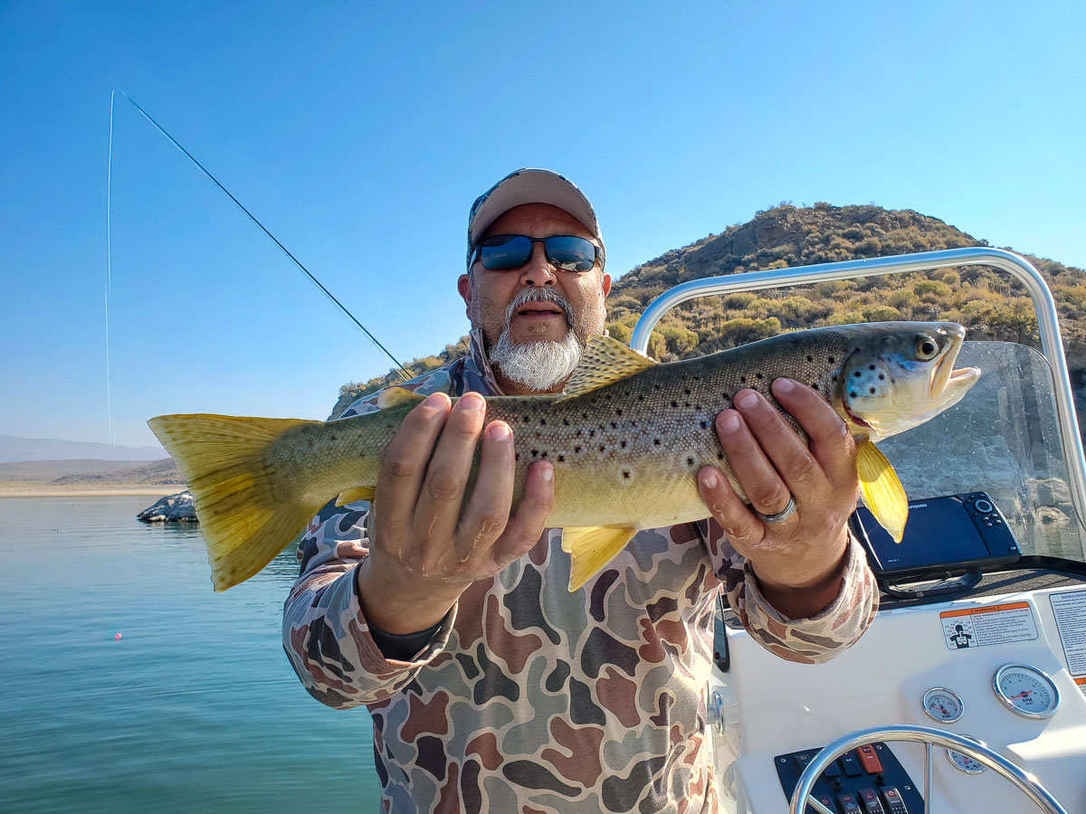 A rainbow trout from Crowley Lake with Sierra Drifters