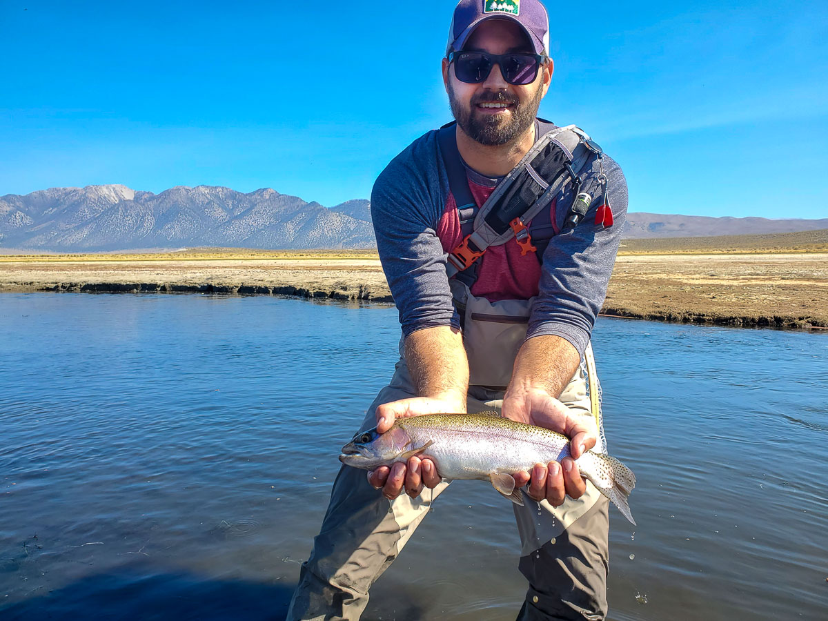 A rainbow trout from the Upper Owens River with Sierra Drifters
