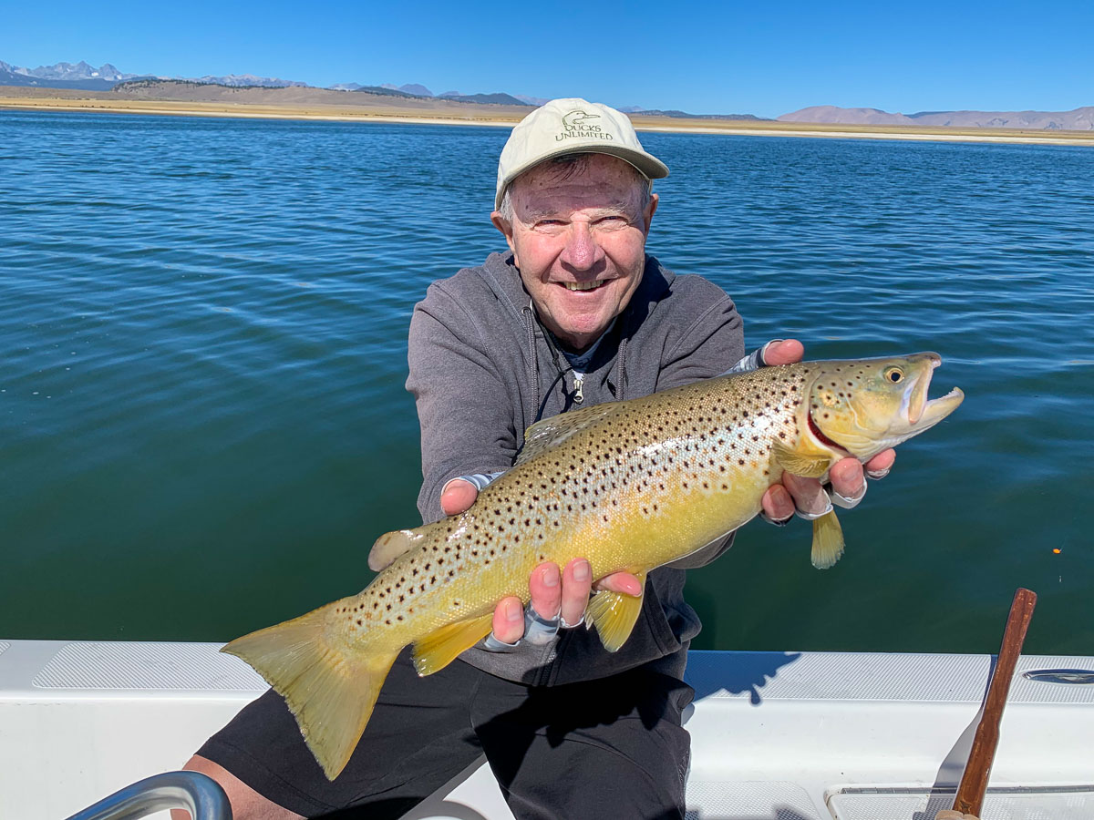 A brown trout from Crowley Lake with Sierra Drifters