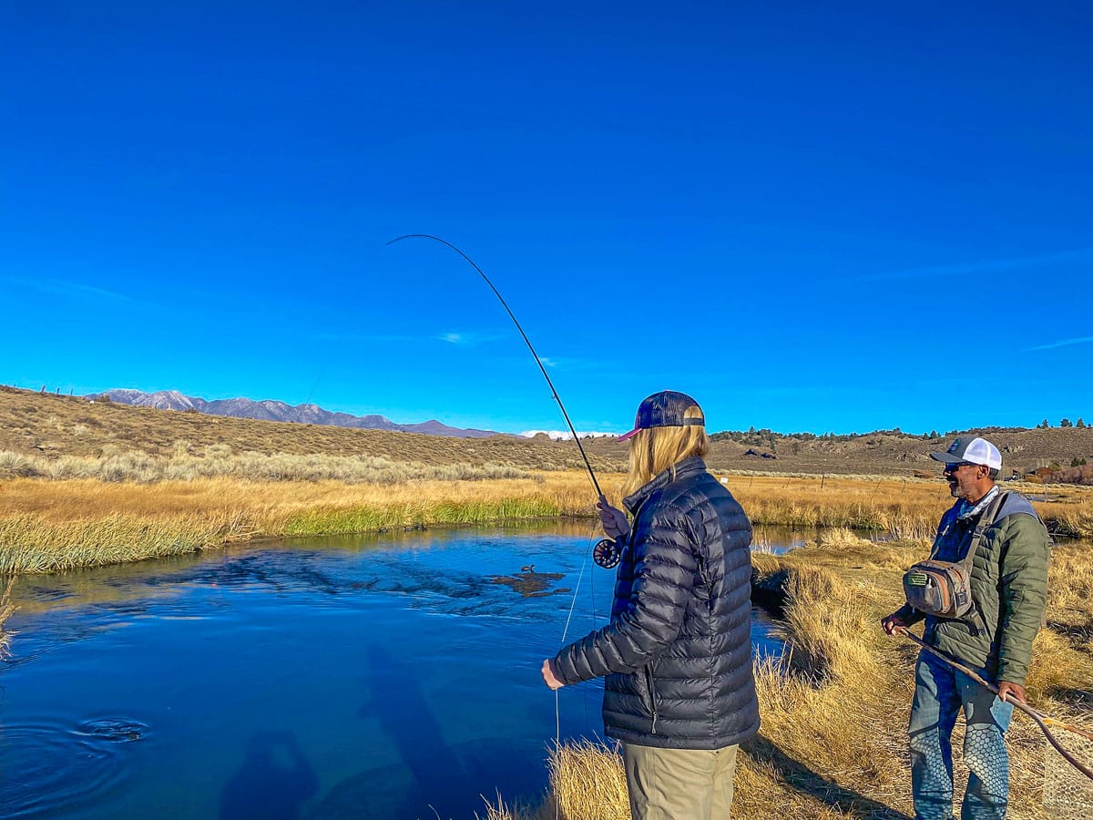 A lady fly fisher is reeling in a trout during the fall on Hot Creek while her guide assists her.