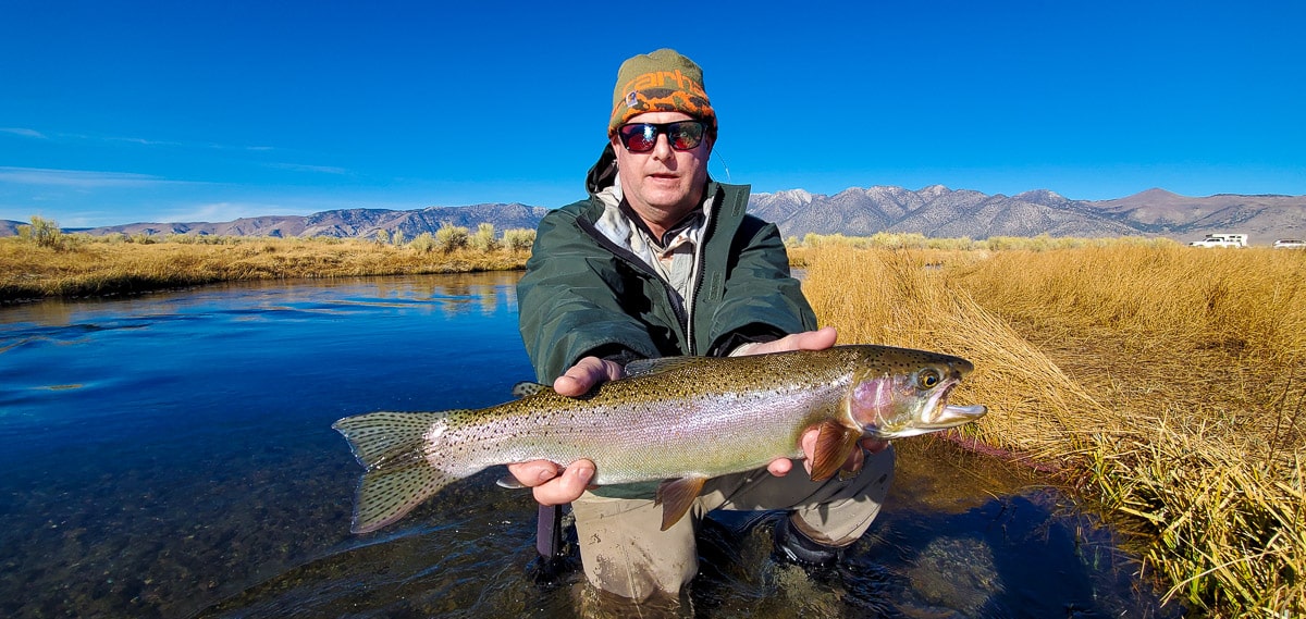 A fly fisherman holding a rainbow trout during the fall spawn from the Upper Owens River..