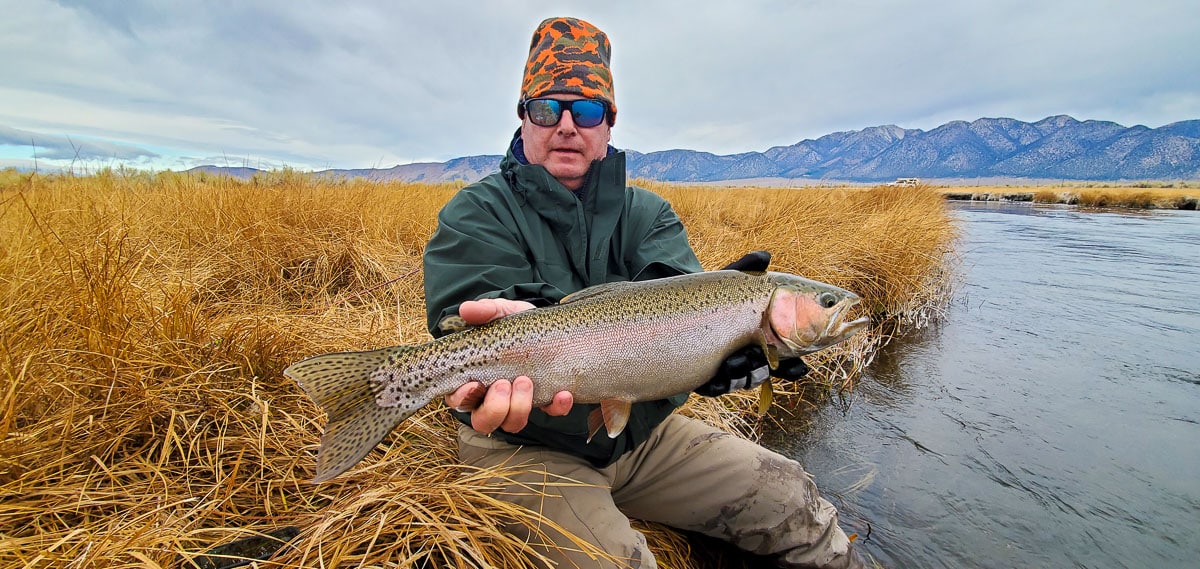 A fly fisherman holding a rainbow trout during the fall spawn from the Upper Owens River.