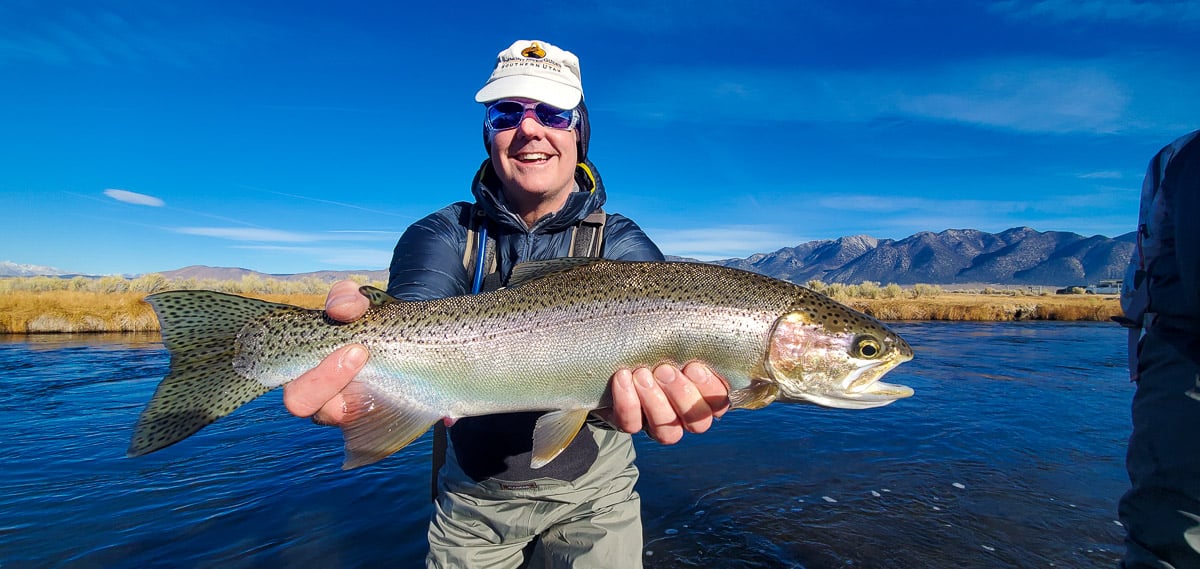 A fly fisherman holding a rainbow trout during the fall spawn from the Upper Owens River.