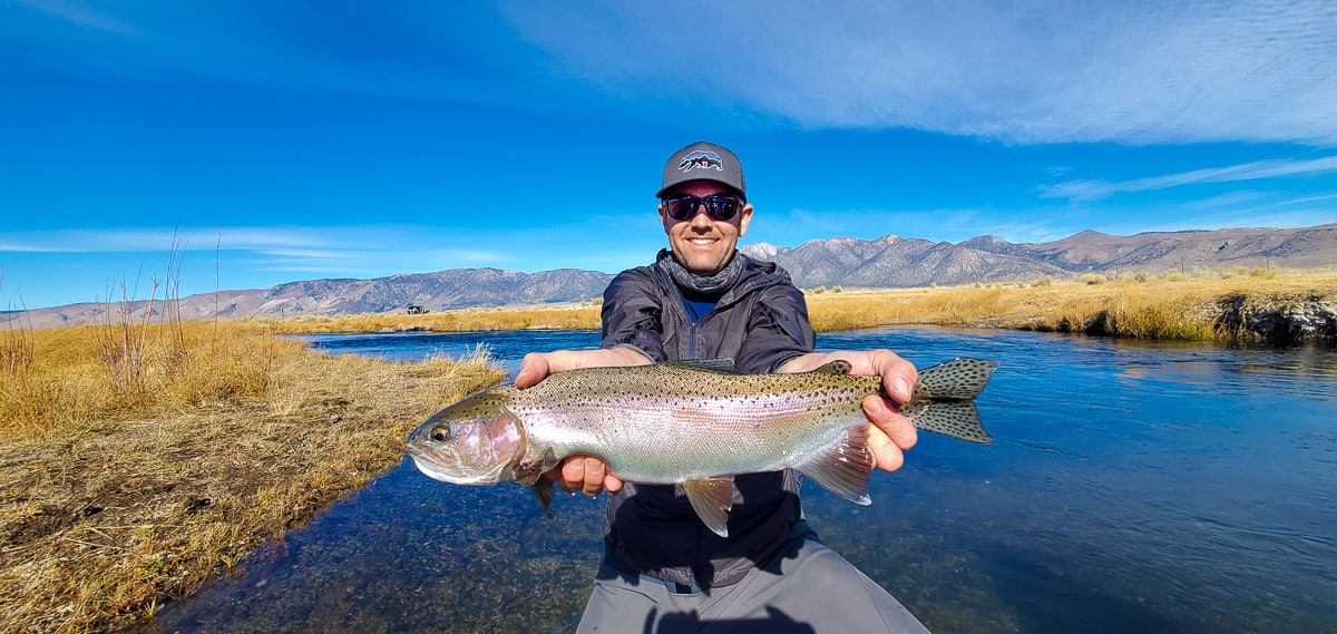 A fly fisherman holding a rainbow trout during the fall spawn from the Upper Owens River.