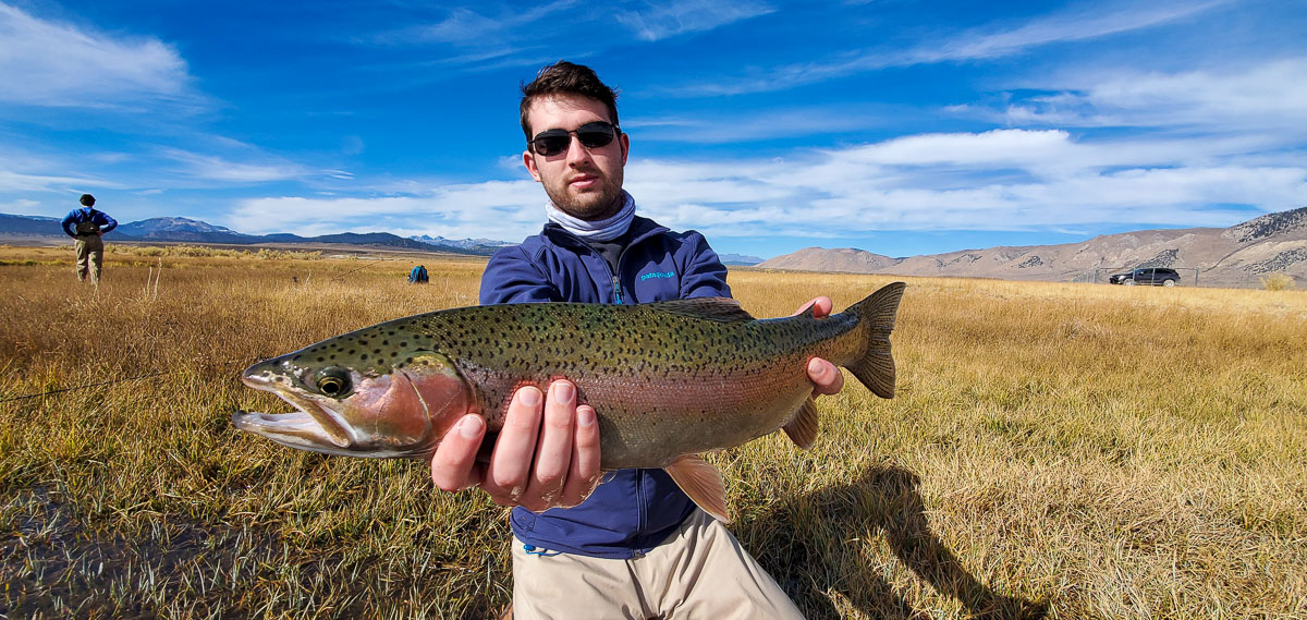 A fly fisherman holding a rainbow trout from the Upper Owens River in early November.
