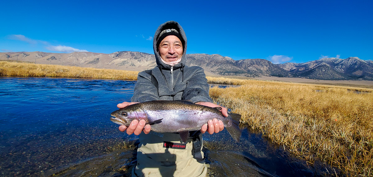 A fly fisherman holding a rainbow trout during the fall spawn from the Upper Owens River.
