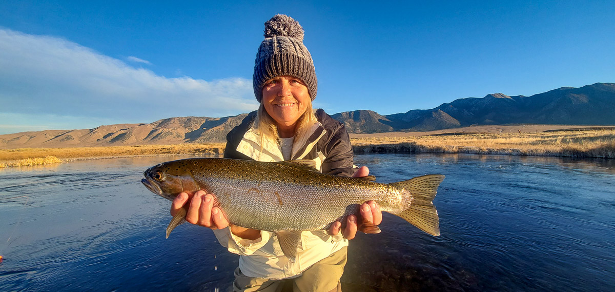 A lady fly fisherman holding a rainbow trout during the fall spawn from the Upper Owens River.