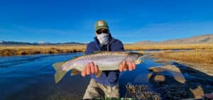 A masked fly fisherman holding a rainbow trout in spawning colors from the Upper Owens River.