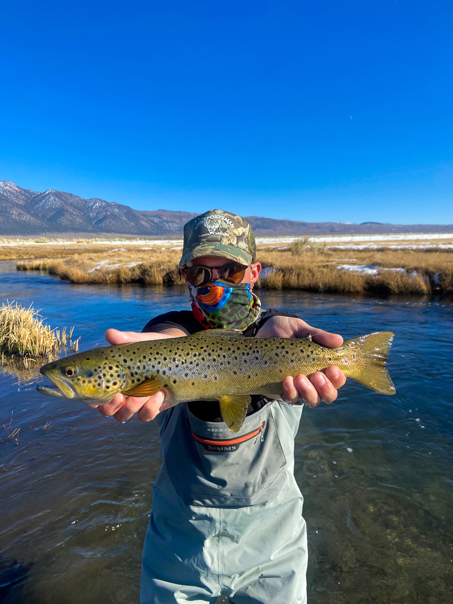 A fly fisherman holding a brown trout during the fall spawn from the Upper Owens River.
