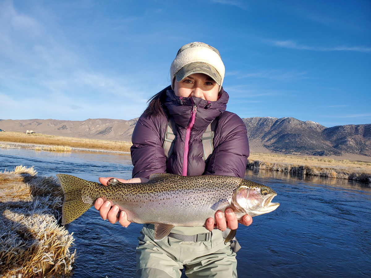 A lady fly angler holding a rainbow trout during the fall spawn from the Upper Owens River.