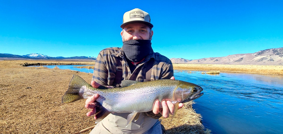 A masked fly fisherman holding a rainbow trout in spawning colors from the Upper Owens River.