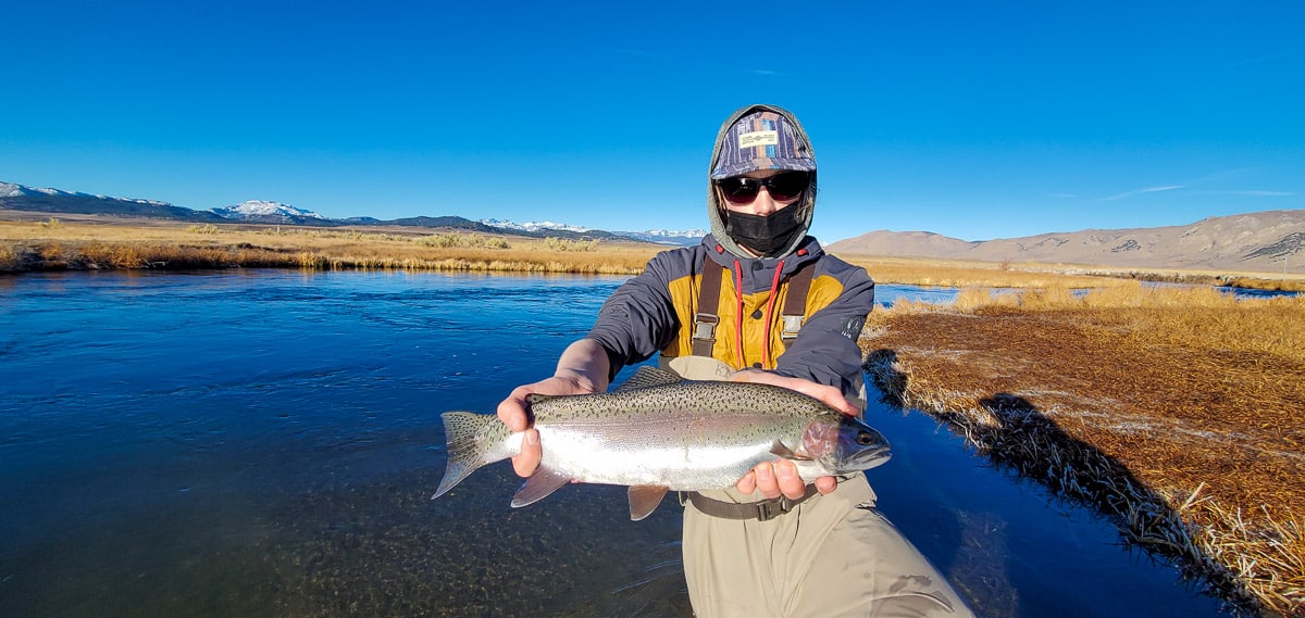 A masked fly fisherman holding a rainbow trout in spawning colors from the Upper Owens River.