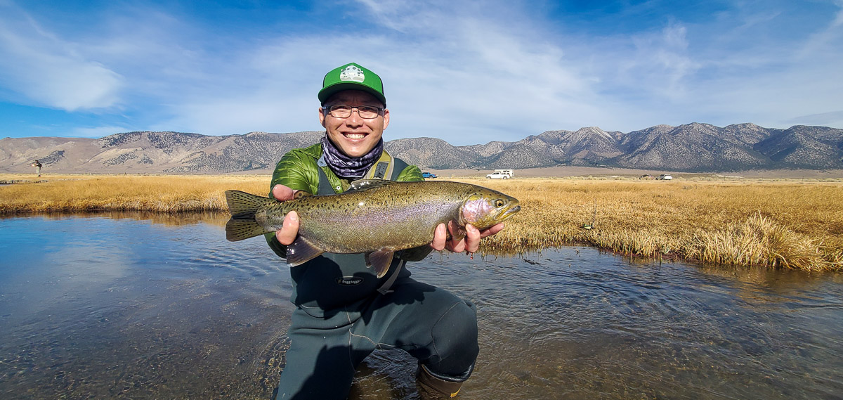 A fly fisherman holding a rainbow trout during the fall spawn from the Upper Owens River.