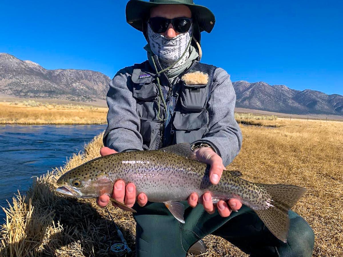 A masked fly fisherman holding a rainbow trout in spawning colors from the Upper Owens River.