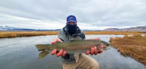 A masked fly fisherman holding a rainbow trout in spawning colors from the Upper Owens River.