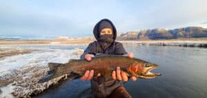 A masked fly fisherman holding a rainbow trout in spawning colors from the Upper Owens River.