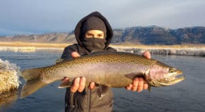 A masked fly fisherman holding a rainbow trout in spawning colors from the Upper Owens River.