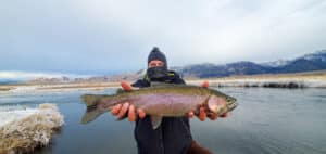 A masked fly fisherman holding a rainbow trout in spawning colors from the Upper Owens River.