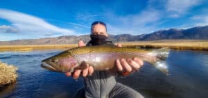 A masked fly fisherman holding a rainbow trout in spawning colors from the Upper Owens River.