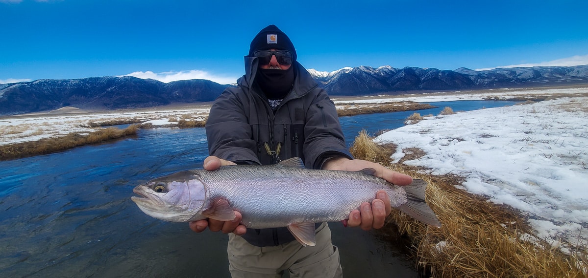 A fly fisherman holding a rainbow trout in spawning colors from the Upper Owens River in the snow.