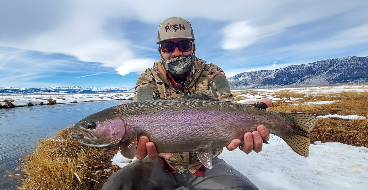 A fly fisherman holding a rainbow trout in spawning colors from the Upper Owens River in the snow.