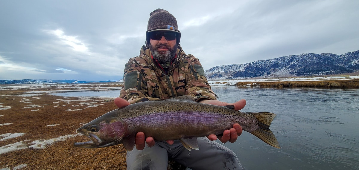 A fly fisherman fishing the Upper Owens River from while standing on the bank and fighting a large rainbow trout.