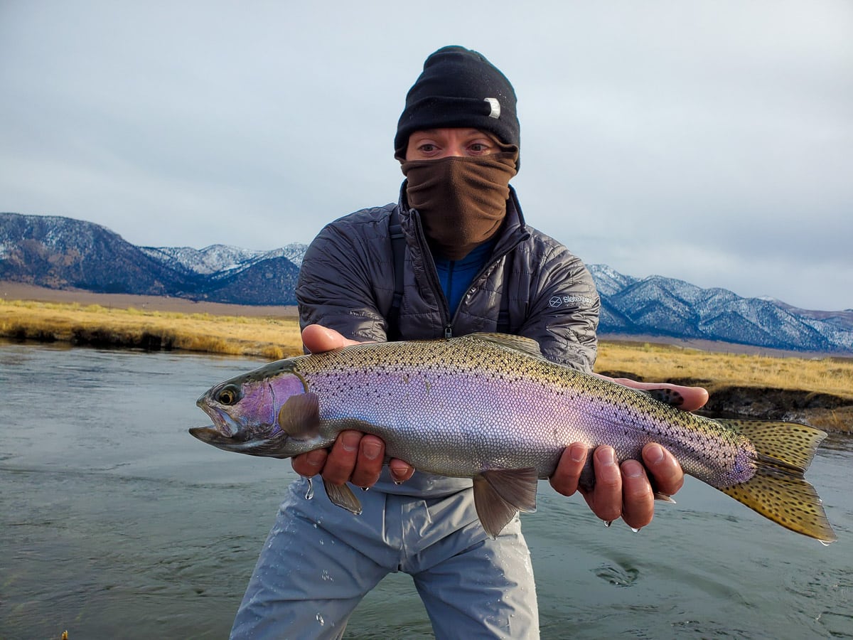 A masked fly fisherman holding a rainbow trout in spawning colors from the Upper Owens River.