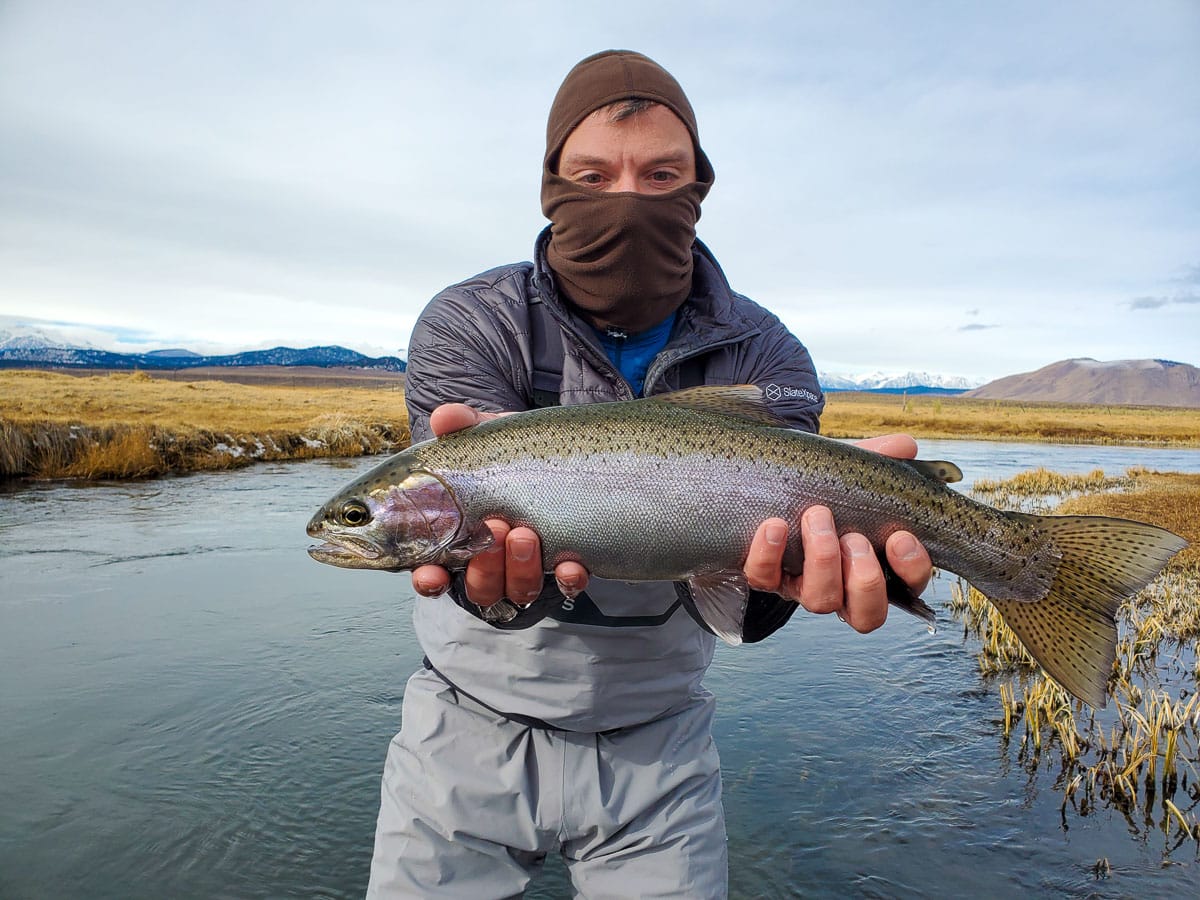 A masked fly fisherman holding a rainbow trout in spawning colors from the Upper Owens River.