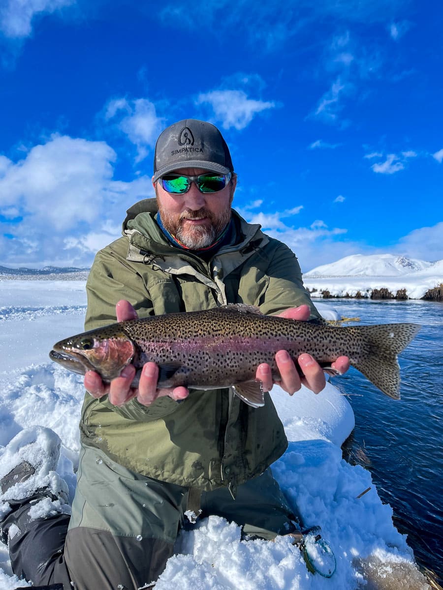 A fly fisherman fishing the Upper Owens River from while standing on the bank and fighting a large rainbow trout.