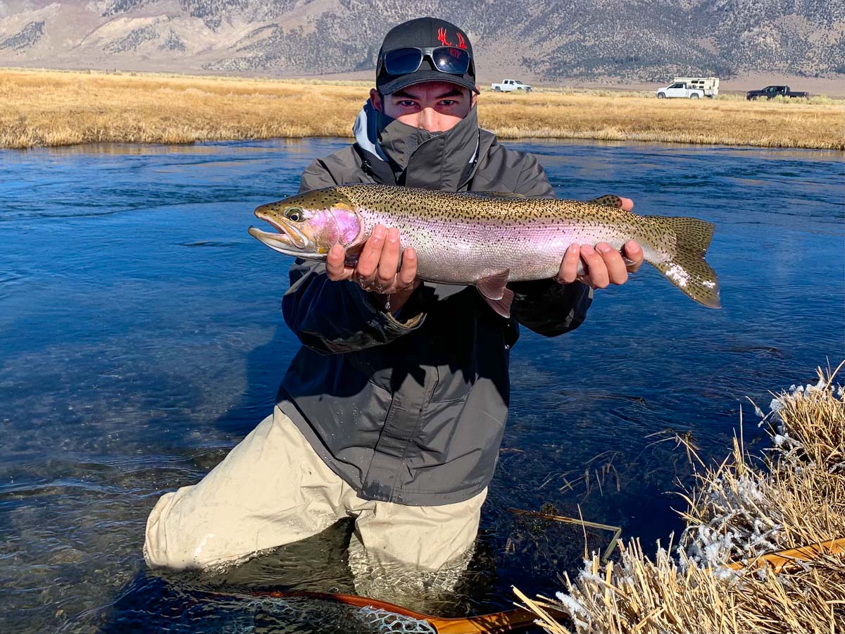 A masked fly fisherman holding a rainbow trout in spawning colors from the Upper Owens River.