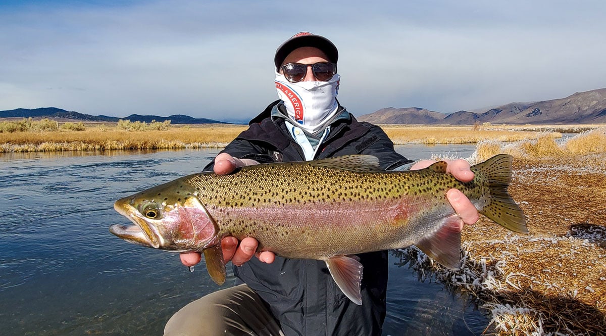 A masked fly fisherman holding a rainbow trout in spawning colors from the Upper Owens River.