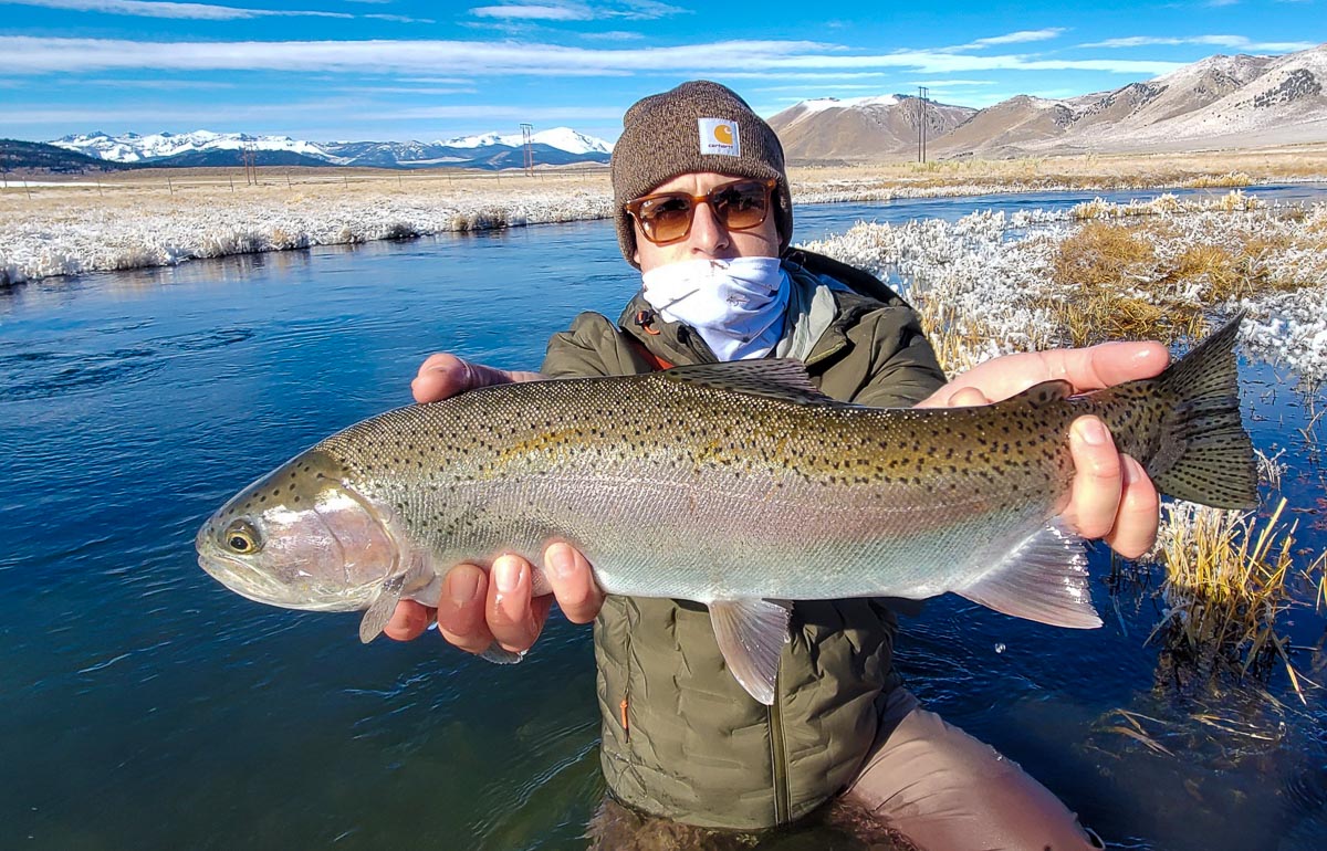 A masked fly fisherman holding a rainbow trout in spawning colors from the Upper Owens River.