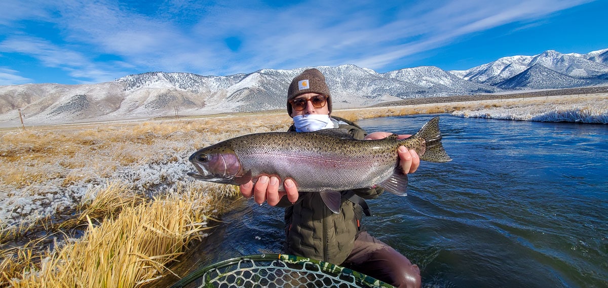 A fly fisherman holding a rainbow trout in spawning colors from the Upper Owens River in the snow.