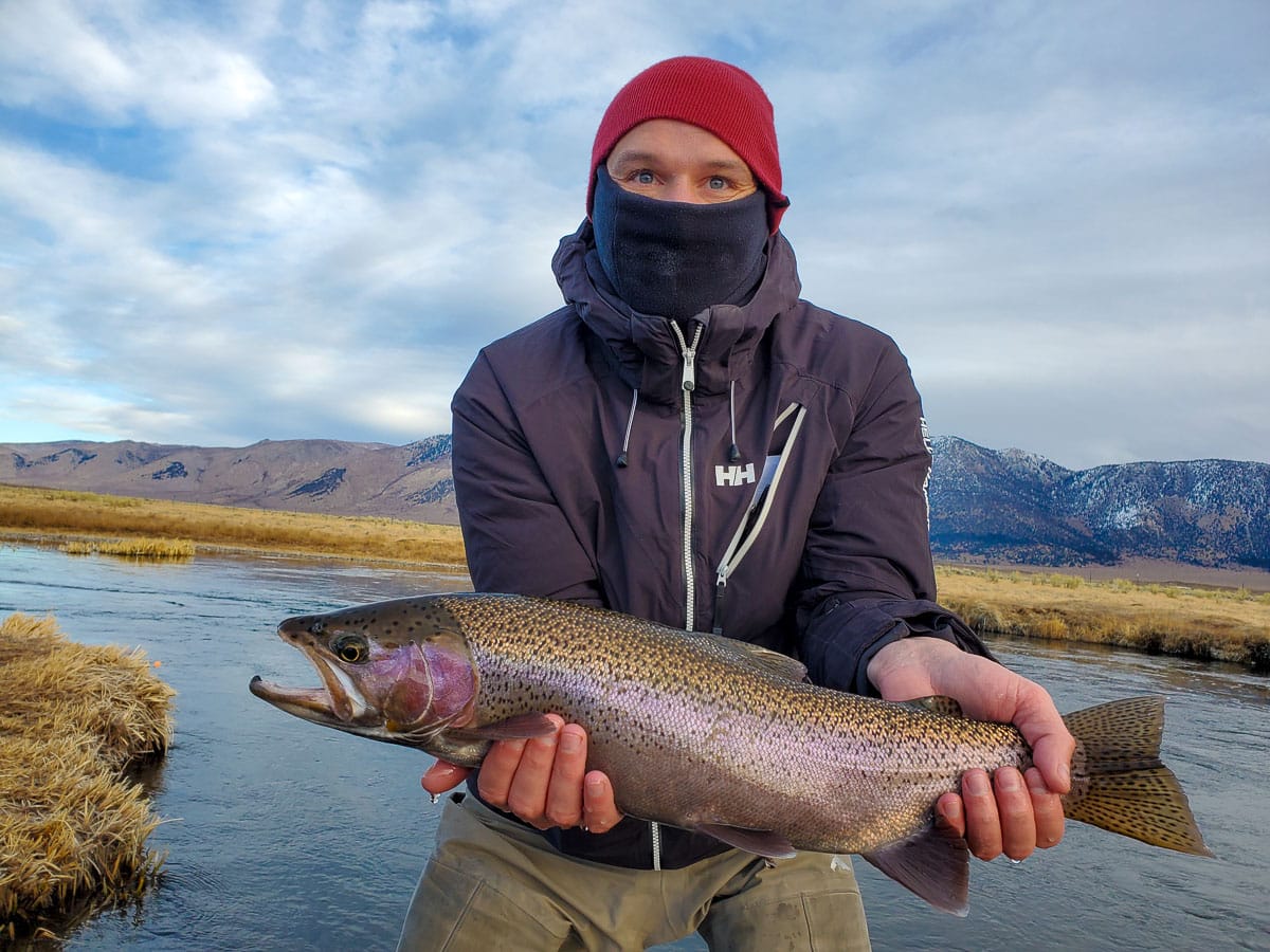 A masked fly fisherman holding a rainbow trout in spawning colors from the Upper Owens River.