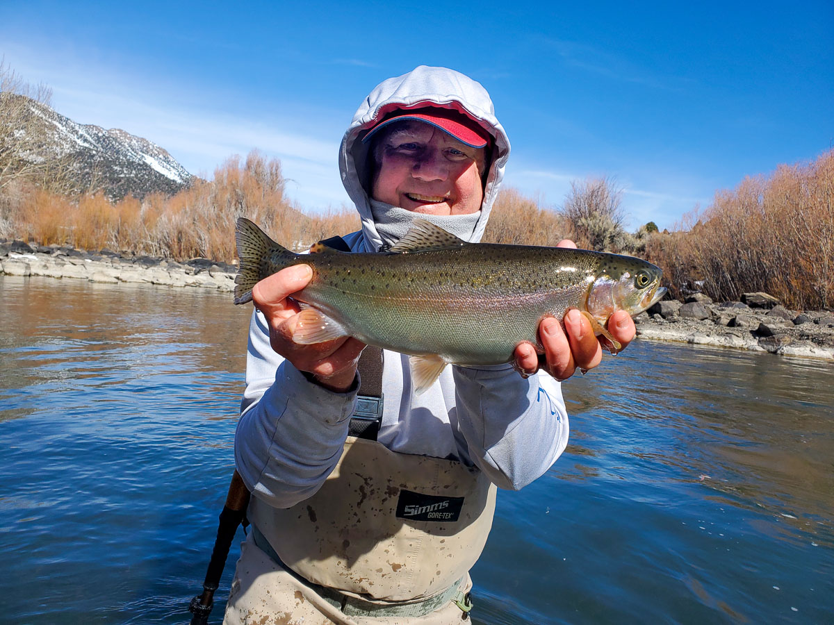 A fly fisherman holding a rainbow trout in spawning colors from the East Walker River.