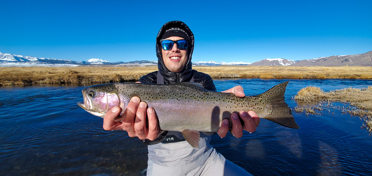 A fly fisherman holding a rainbow trout in spawning colors from the Upper Owens River.
