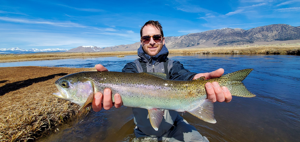 A fly fisherman holding a giant rainbow trout on the Upper Owens River.