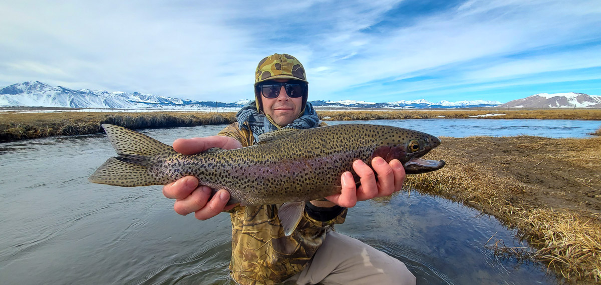 A fly fisherman holding a rainbow trout in spawning colors from the Upper Owens River.