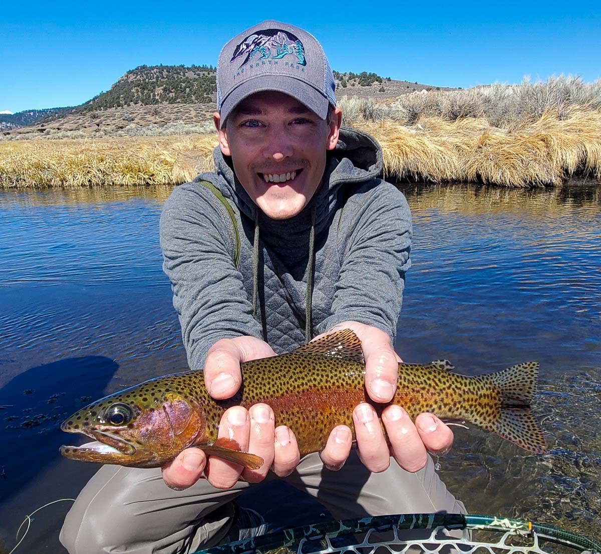 A fly fisherman with a grey hat holding a rainbow trout in spawning colors in a clear stream.