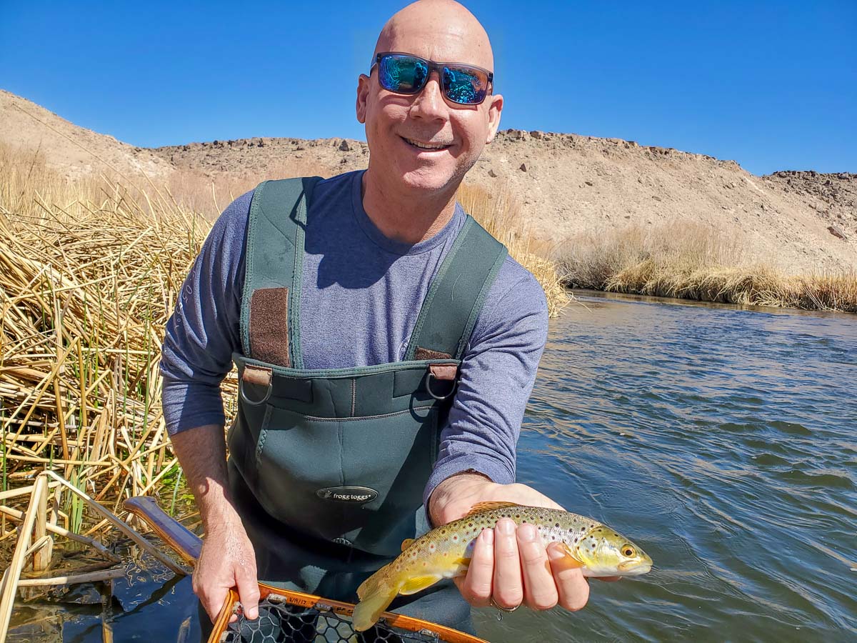A fly fisherman wearing waders and holding a brown trout from the Lower Owens River.