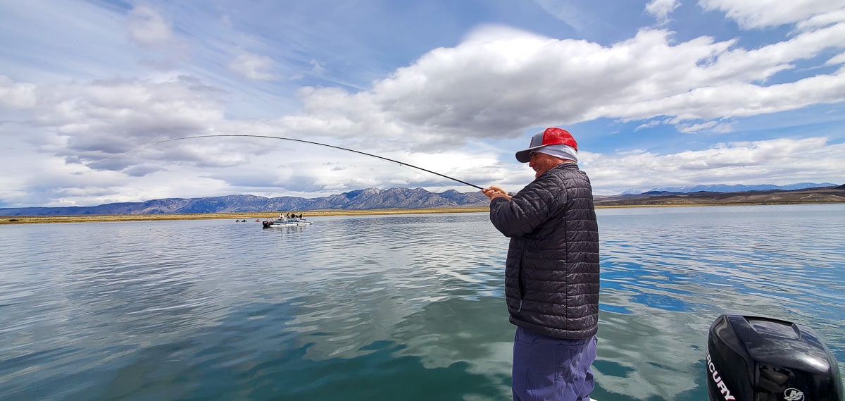 A fly fisherman reeling in a trout on a lake with mountains in the background.