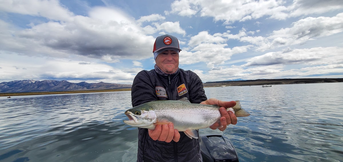 A fly fisherman wearing a grey baseball cap holding a fat rainbow trout on a lake.