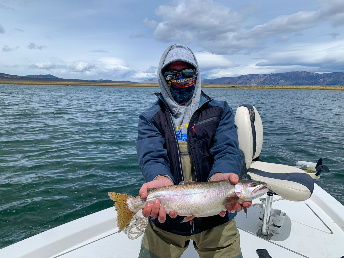 A fly fisherman wearing a grey baseball cap holding a fat cutthroat trout on a lake.