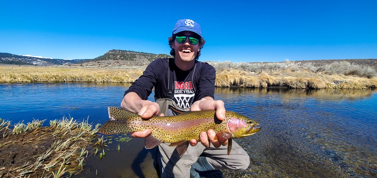 A fly fisherman with a blue hat holding a rainbow trout in spawning colors in a clear stream.