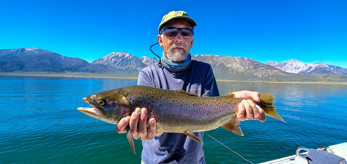 A fly fisherman with a hat and a purple long sleeve shirt holding a large rainbow trout in a boat on a lake.